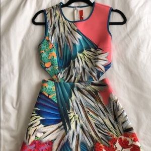 Clover Canyon Scuba Dress with cutouts